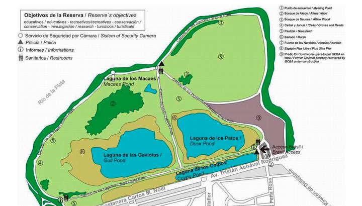 Un ecosistema único: Reserva Ecológica Costanera Sur - Ecomundo