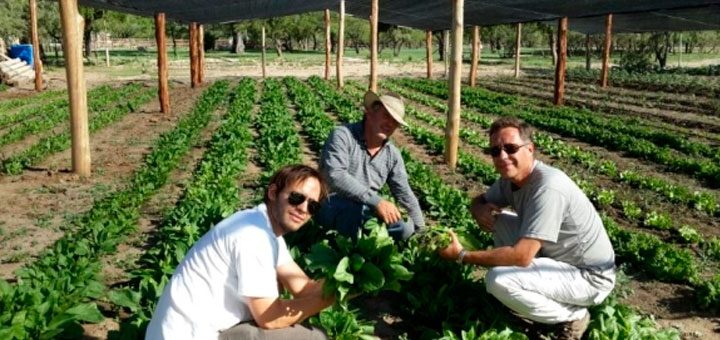 La Matilde, huertas orgánicas